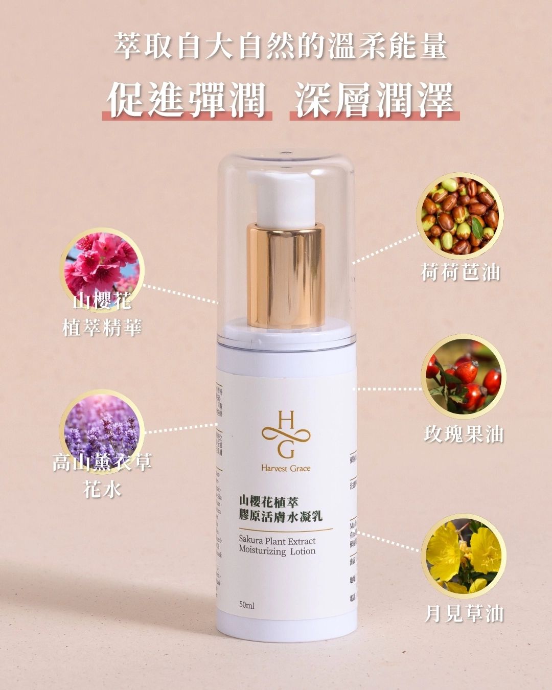 Sakura Plant Extract Moisturizing Lotion 50ml
