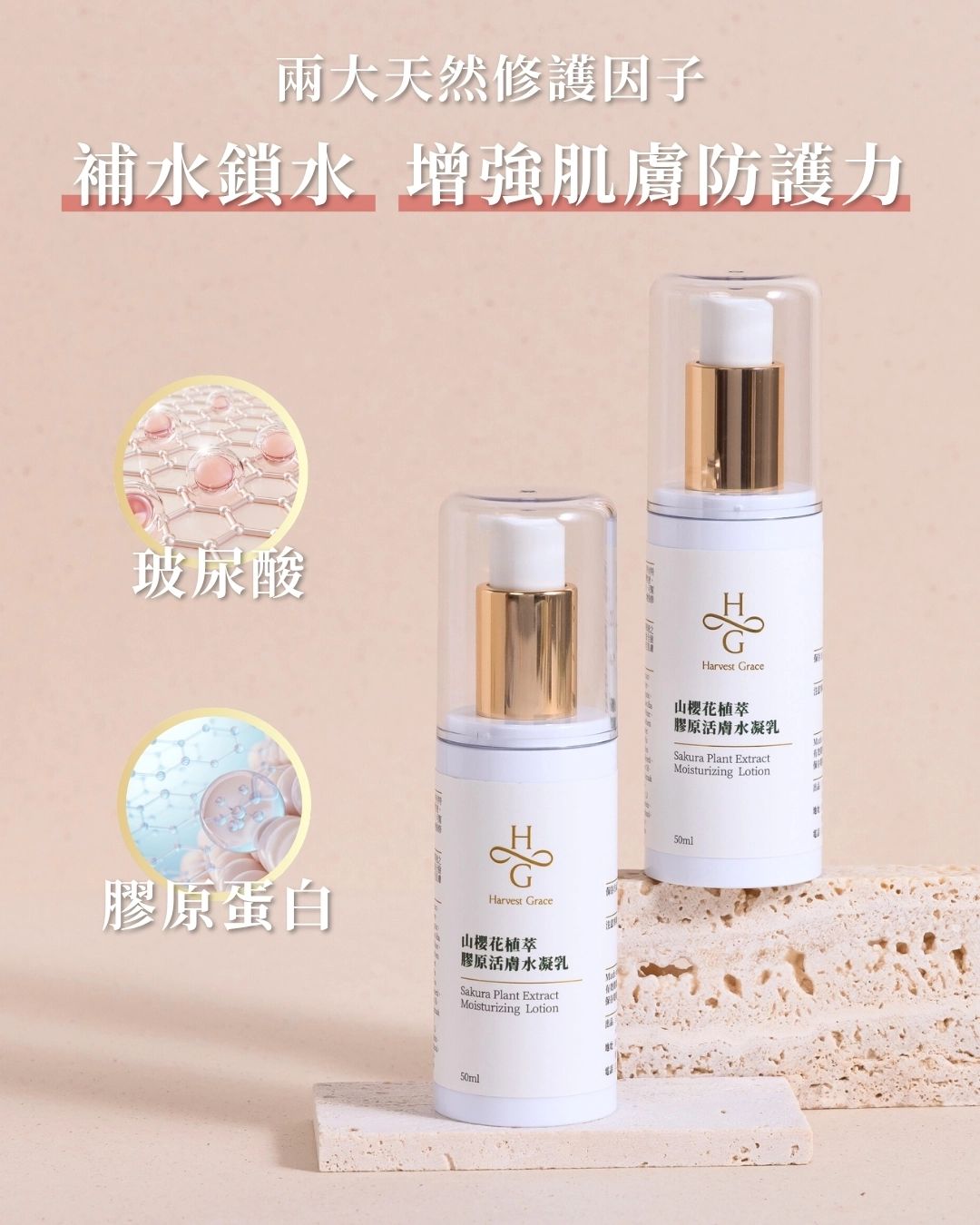 Sakura Plant Extract Moisturizing Lotion 50ml